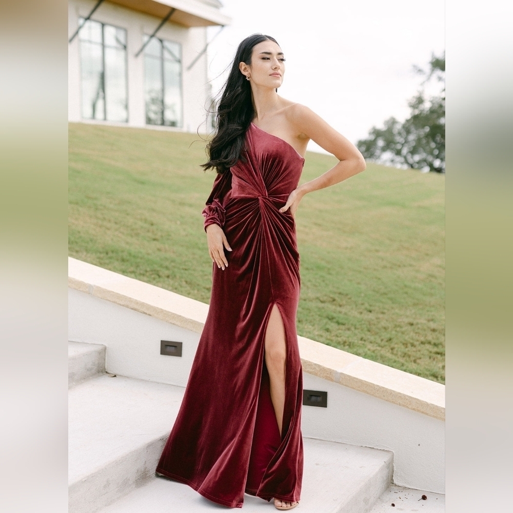 NWT Revelry Aurora Velvet Dress, Romantic Rose, Size 12